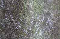 Gasper fibreglass roof work